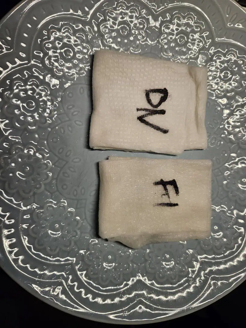 Grow #1 — germination, day 2