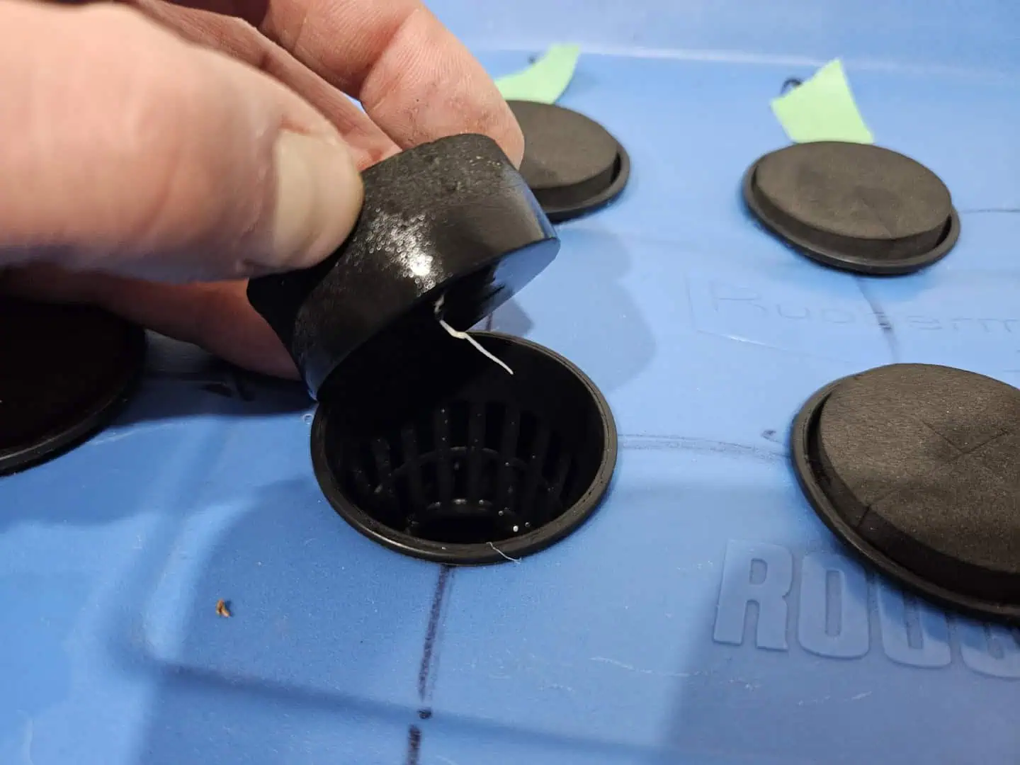 15 plant DWC — seedling_rooting, day 4