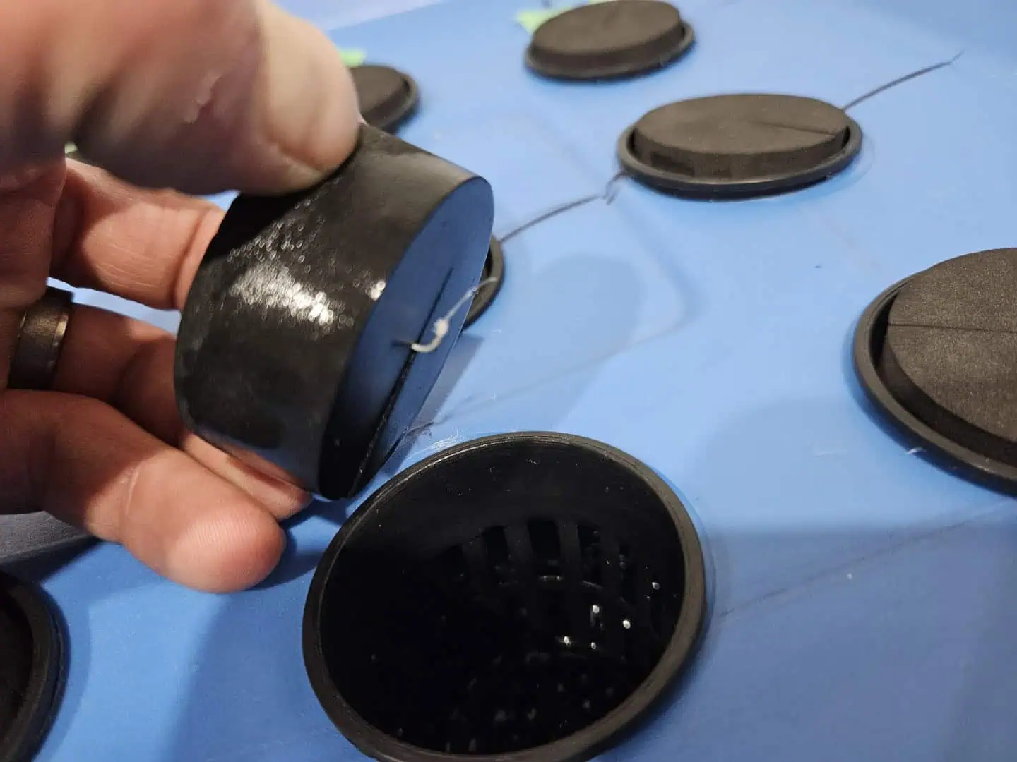 15 plant DWC — seedling_rooting, day 4