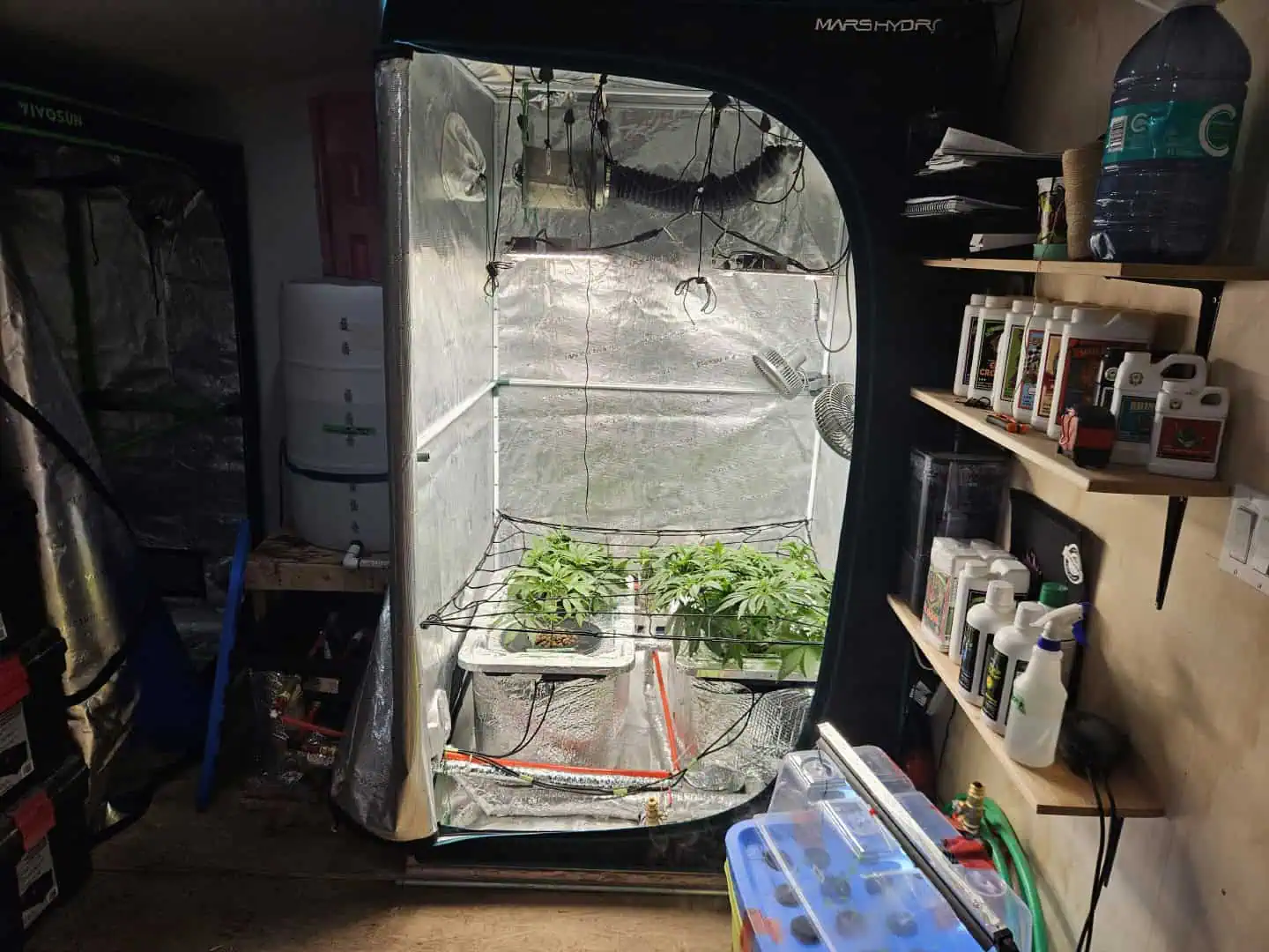 Grow #1 — vegetative, day 46