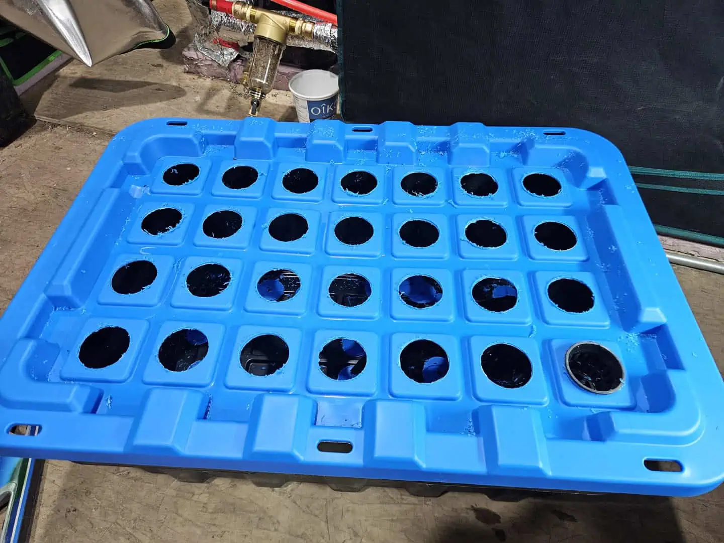 15 plant DWC — done, day 31