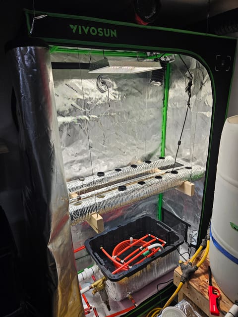 4x2 Veg Tent — grow_setup, day 1