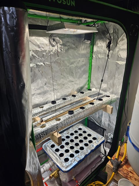 4x2 Veg Tent — grow_setup, day 1