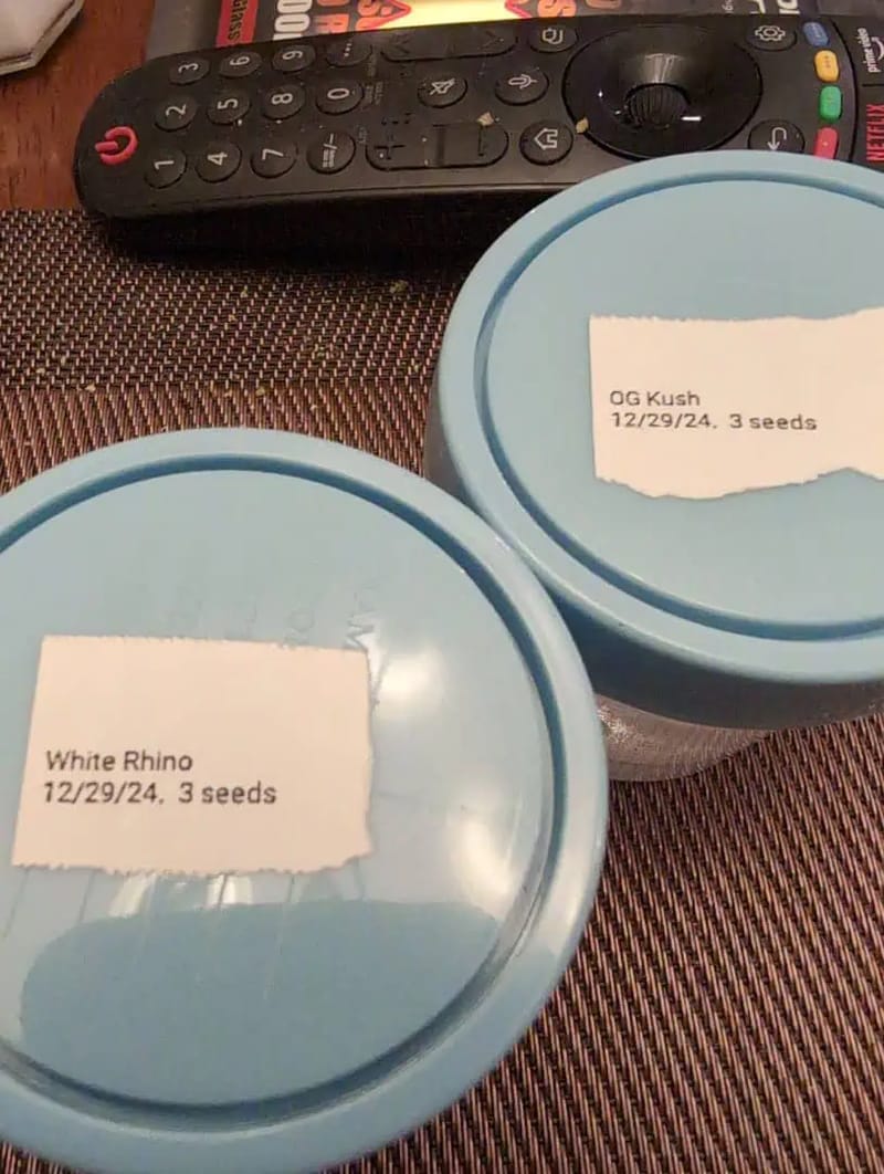First Legal Grow