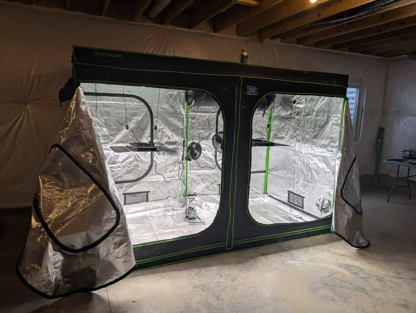 First Legal Grow — germination, day 10