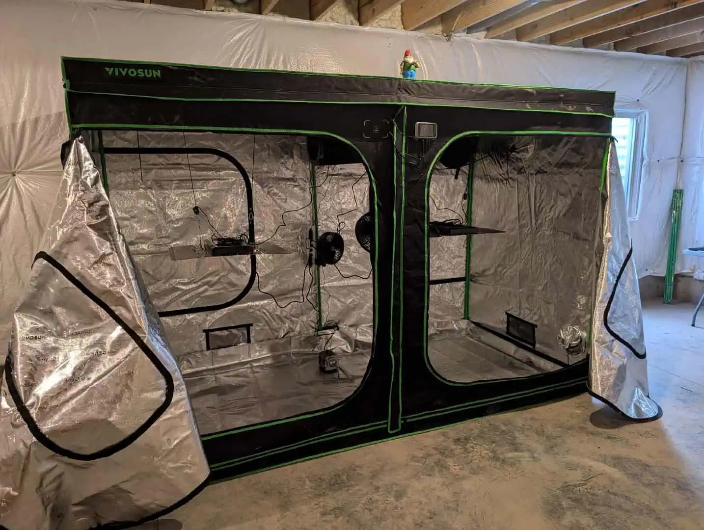 First Legal Grow — germination, day 10