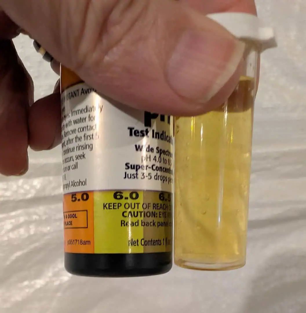 First Legal Grow — seedling_rooting, day 28