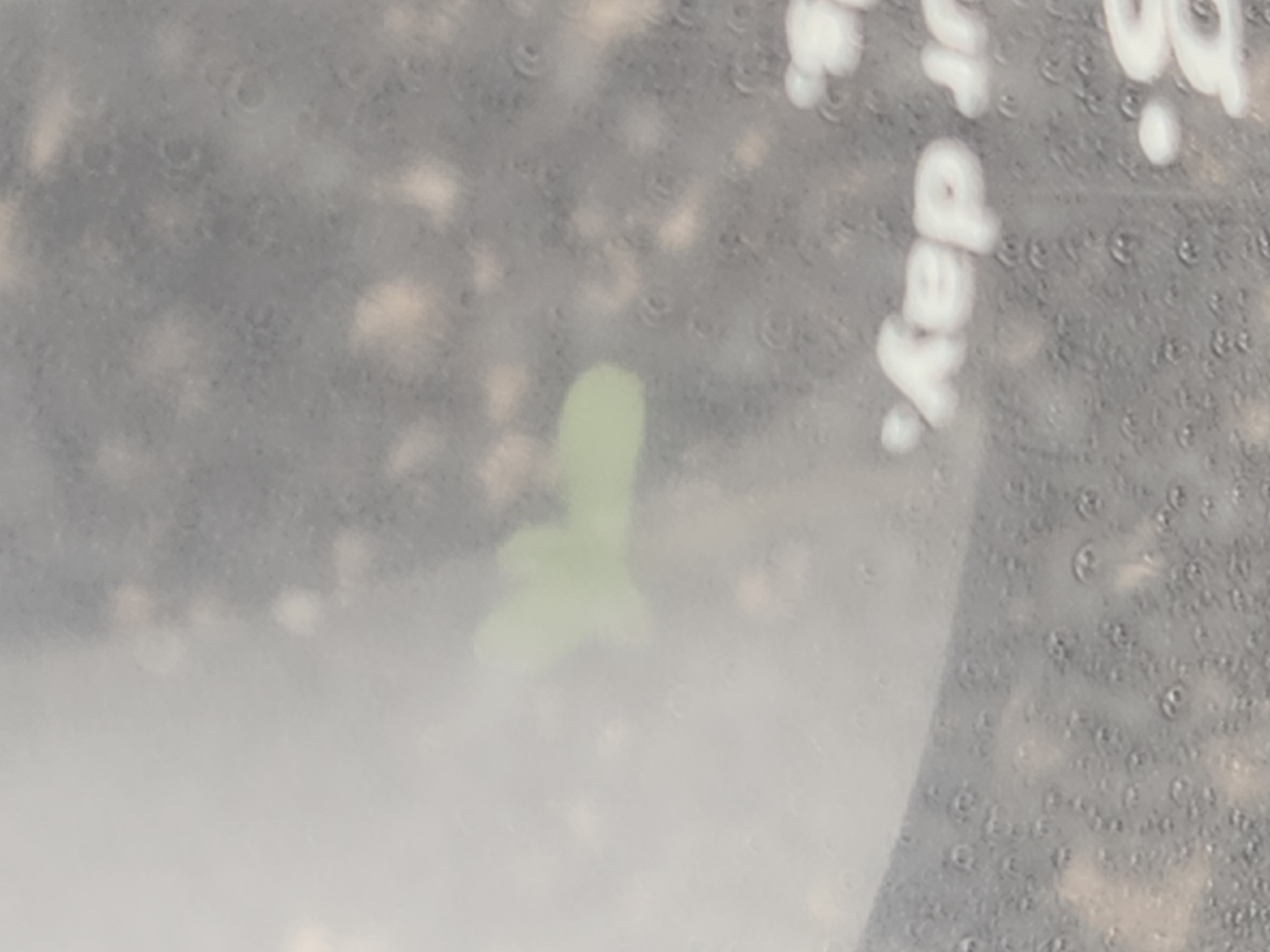 Mephisto Apple Crush in Nature's Living Soil  — germination, day 5