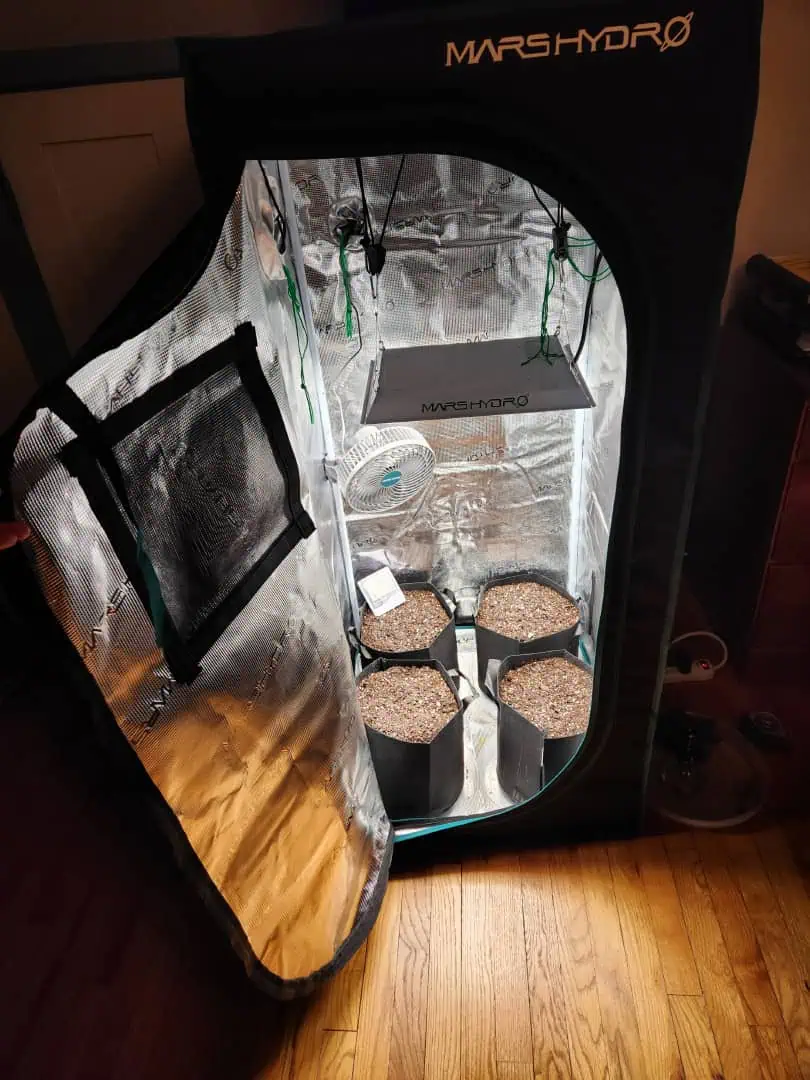 Autoflower grow. my first grow 