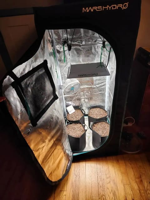 Autoflower grow. my first grow — germination, day 1