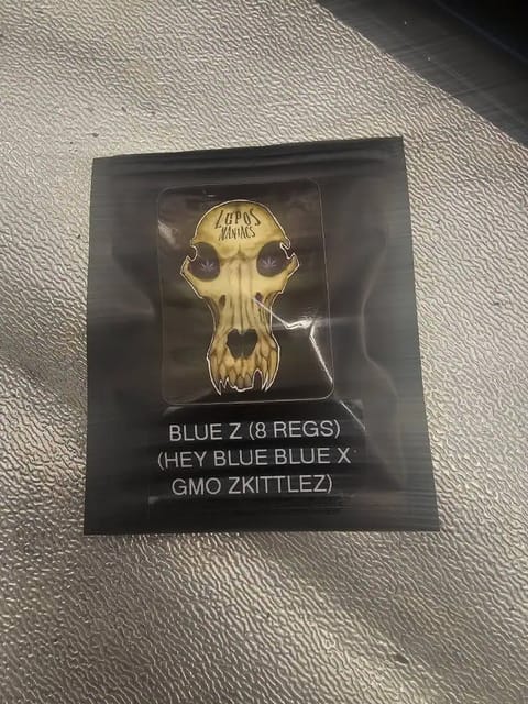 first grow — germination, day 1