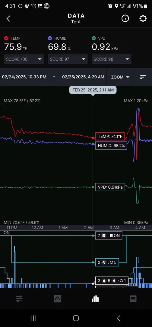 Number Two.  Lola — seedling_rooting, day 3