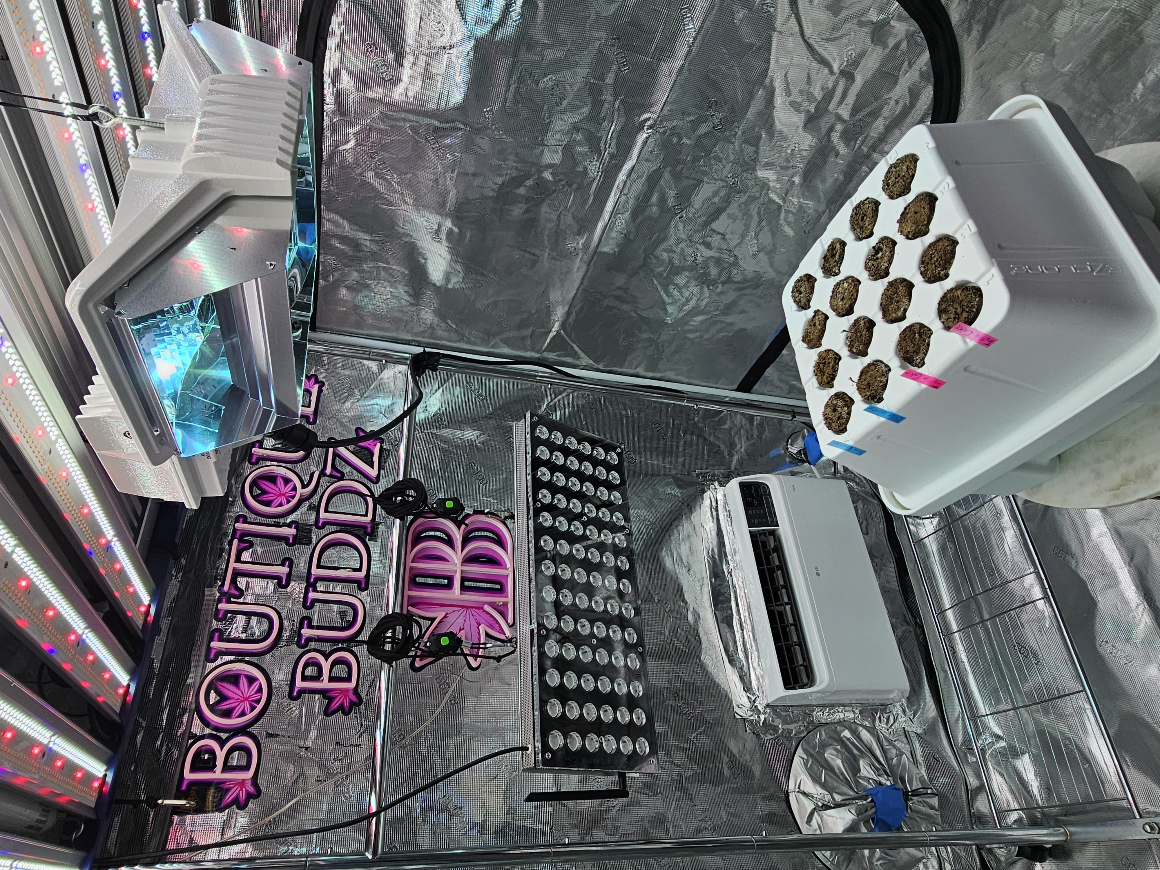 Fall / Winter Grow 2024