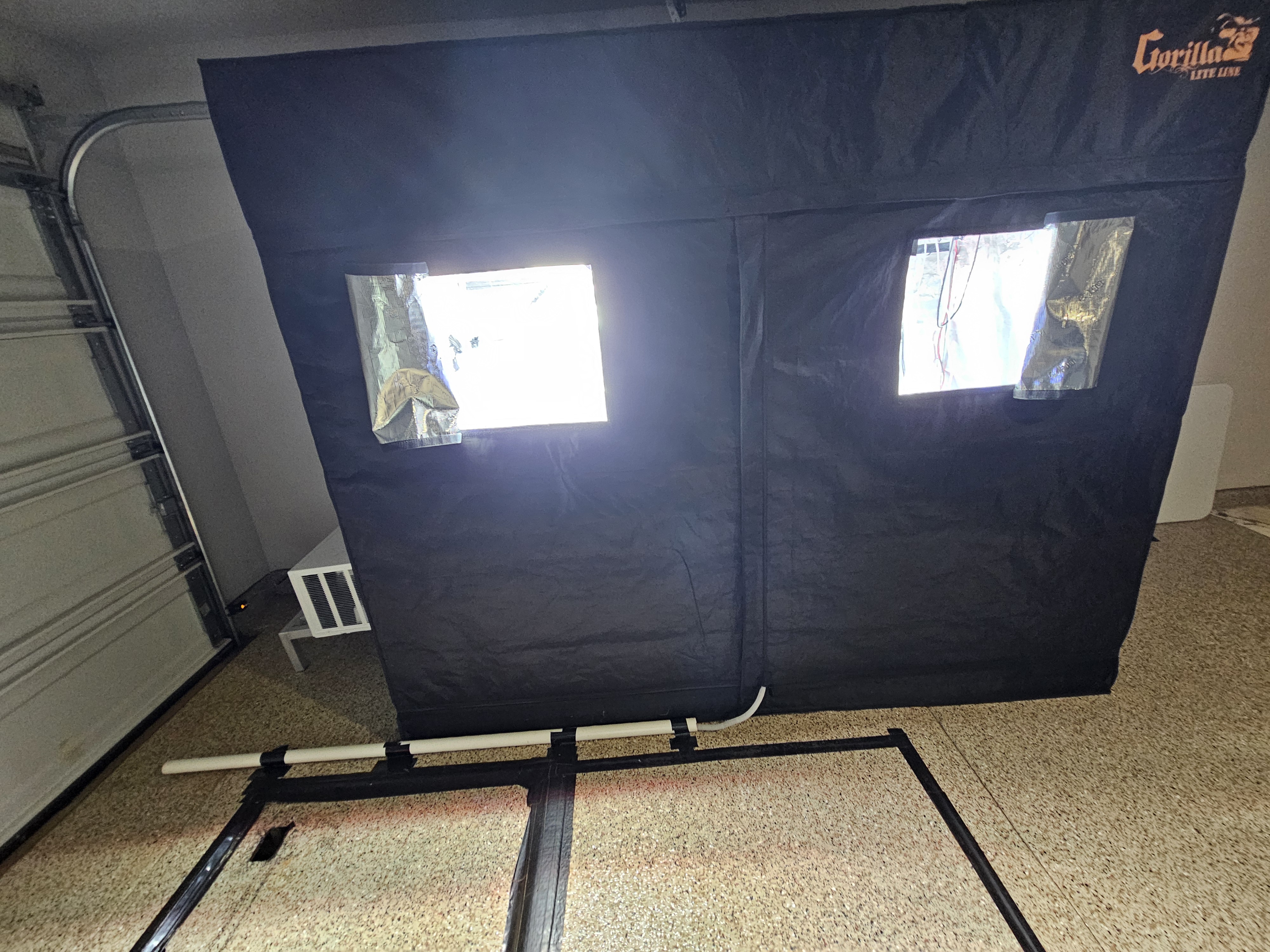 Fall / Winter Grow 2024 — vegetative, day 35