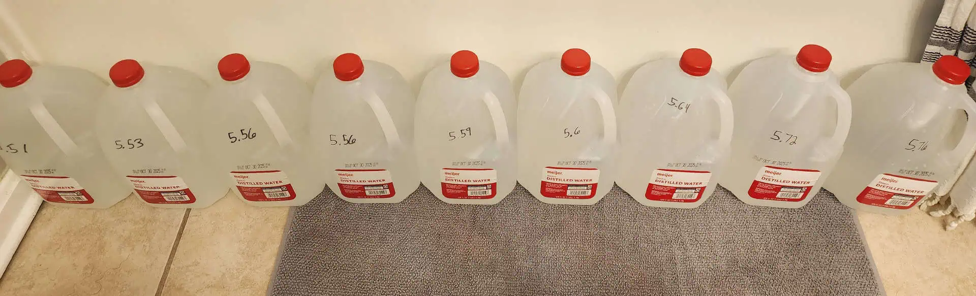 First Auto Grow — auto, day 81