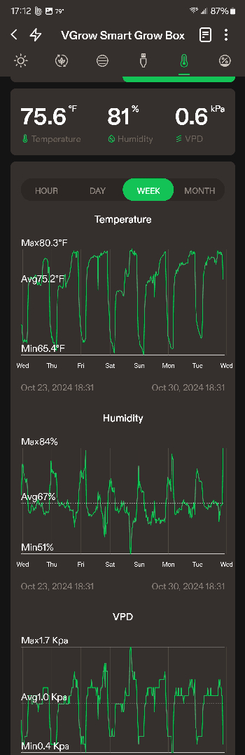 First Auto Grow — germination, day 16