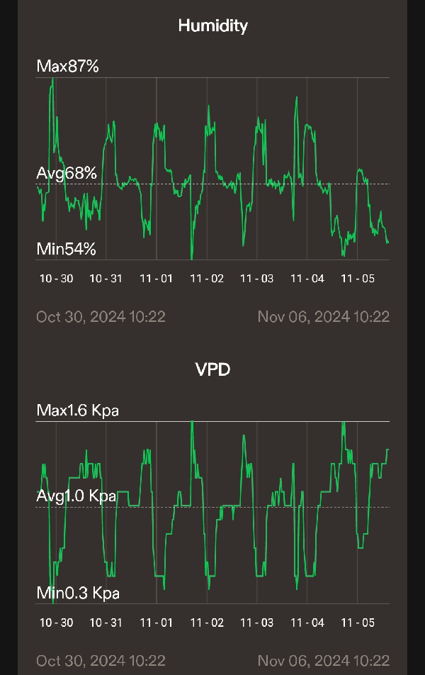 First Auto Grow — vegetative, day 23