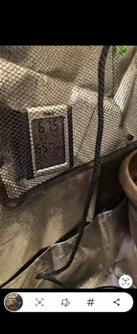 Trinitas Viridis — grow_setup, day 3