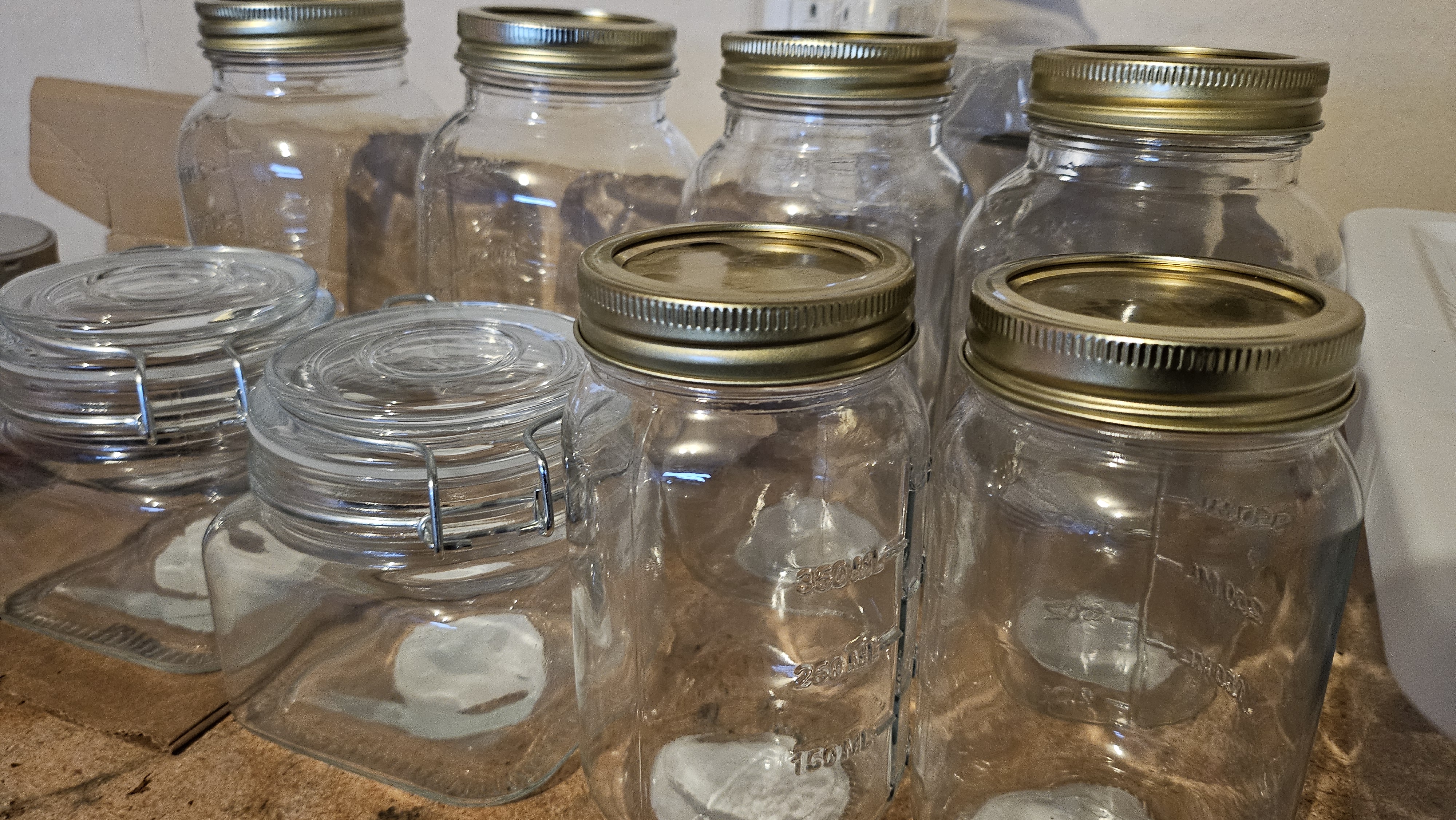 Trinitas Viridis — harvest, day 97