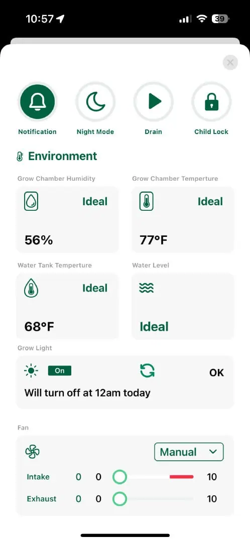 Super Chronic — vegetative, day 1