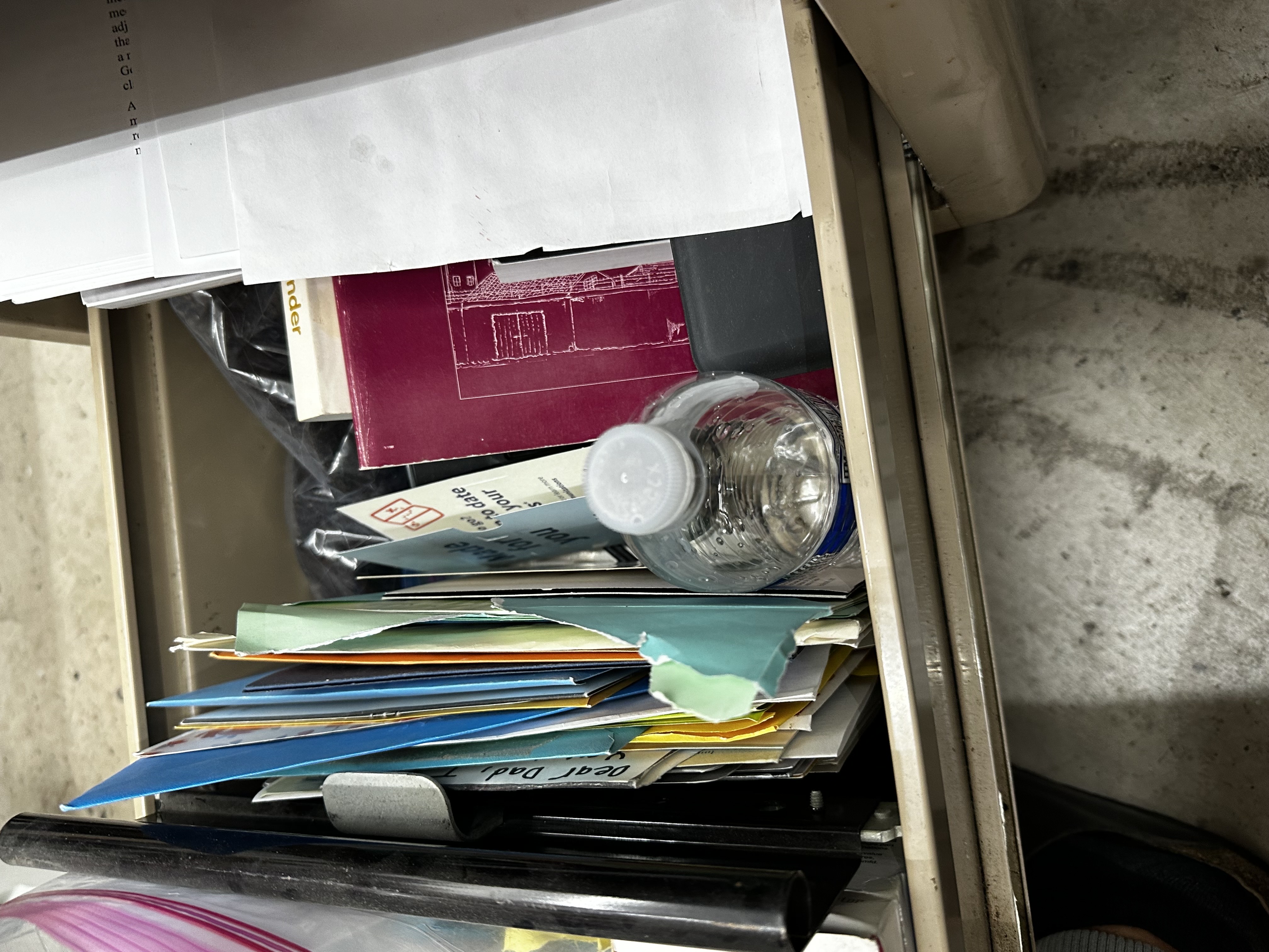 Jamaican Pearl — germination, day 1