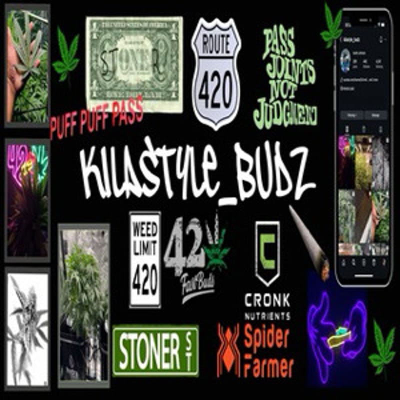 Kilastylebudz