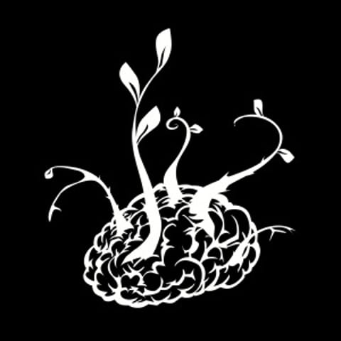 MysticHerbalist