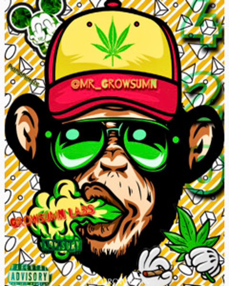 Growsumn_Labs