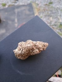 Deep_Hash1025