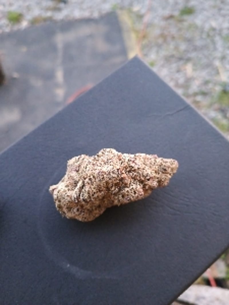 Deep_Hash1025
