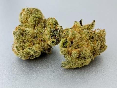 Ezgrow