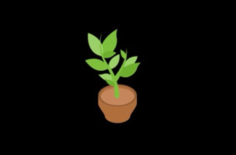 ImMrPlant