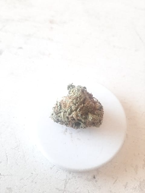 Porro