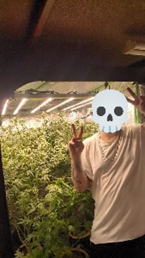 GreenAngel