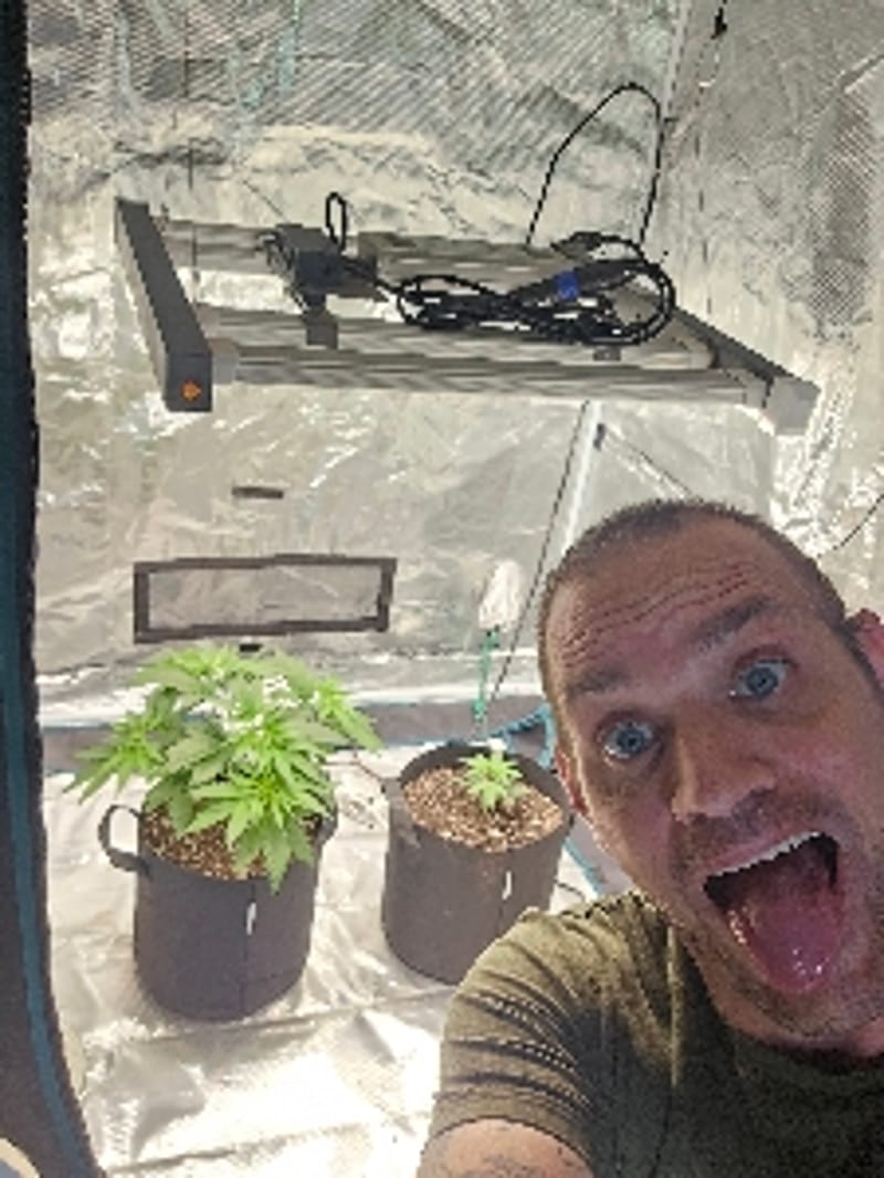 StonerBob2000