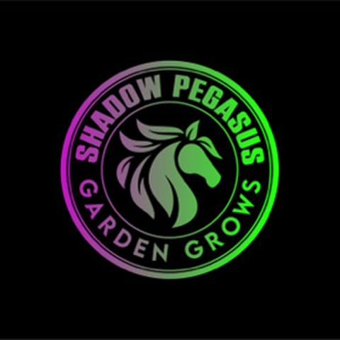 Shadow_Pegasus