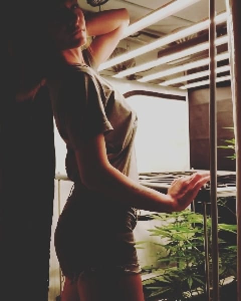 yolas_bud420