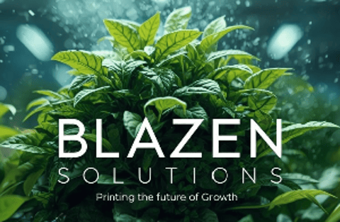 BlazenSolutions