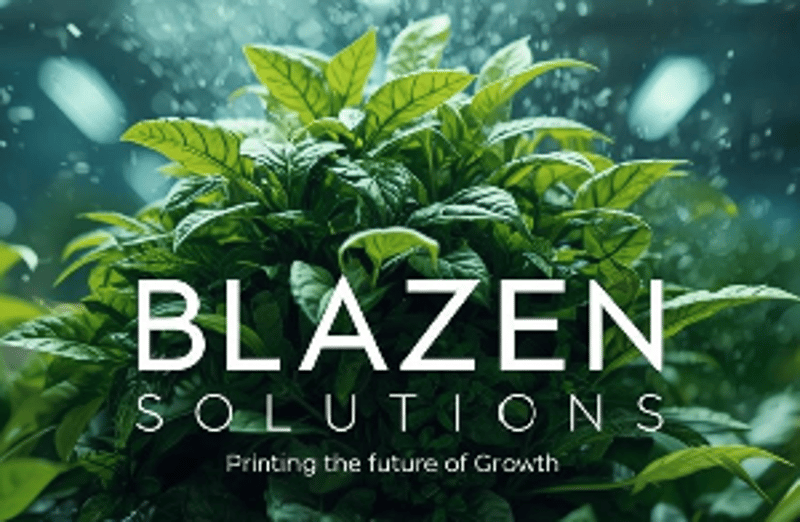 BlazenSolutions
