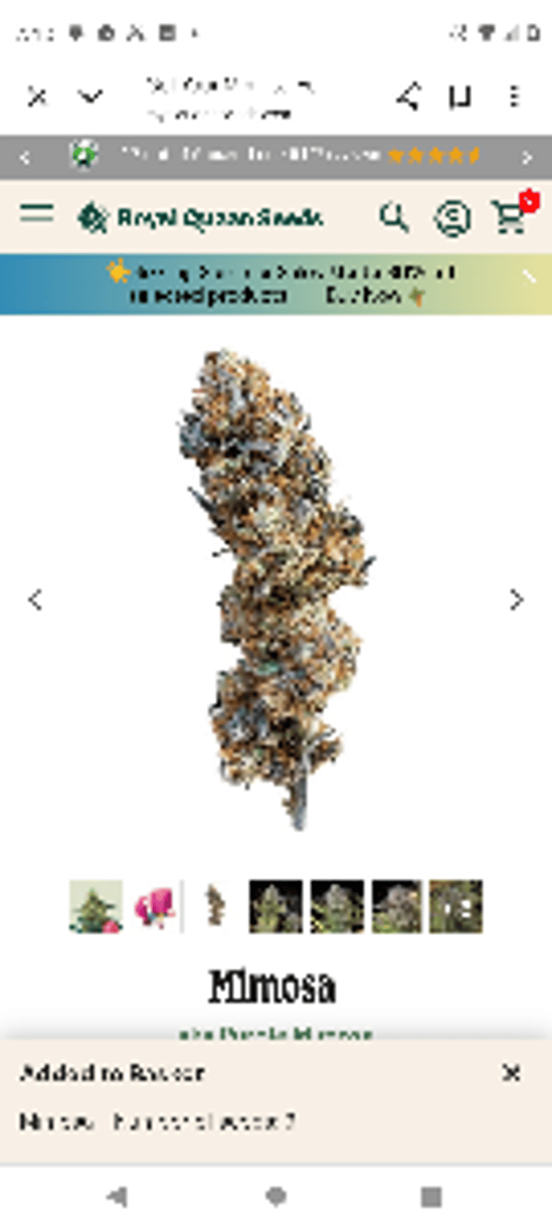 Thornsleygrow420