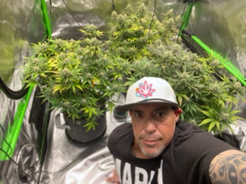 DanzaOG420