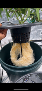 comprehensive_fan693