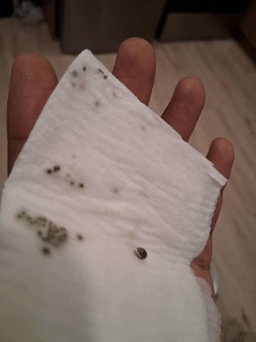 Free Seeds — germination, day 9