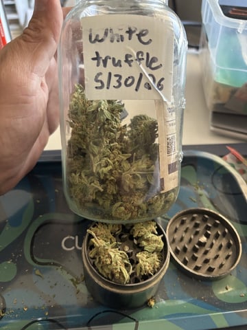 new seeds grow #2