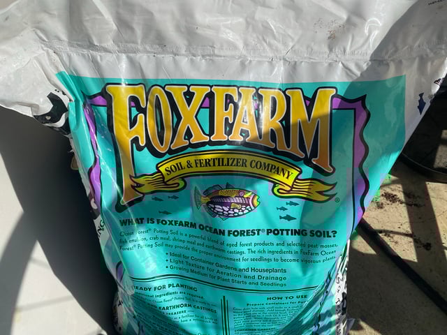 Solfire Gardens Grow — grow_setup, day 1