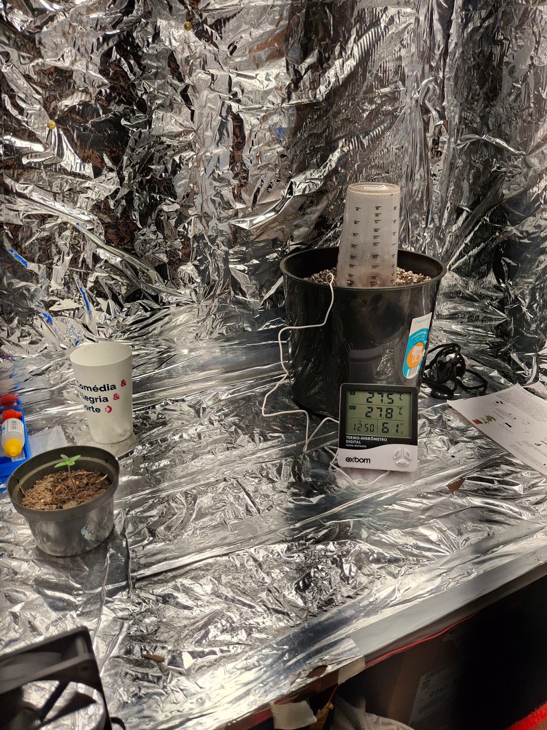 1st Grow - ROYAL MOBY (indoor)(photop.)