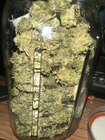 first grow — done, day 147