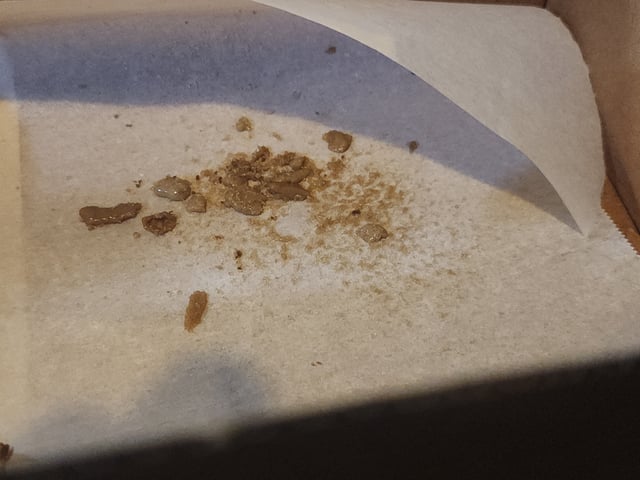 1st grow Dr. Nefario