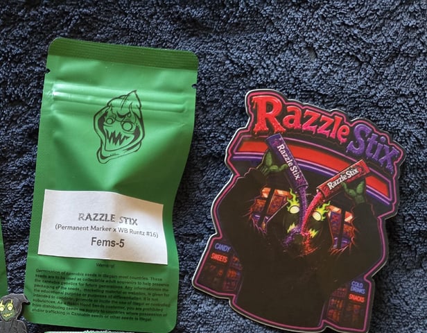 Razzle Stix — germination, day 1