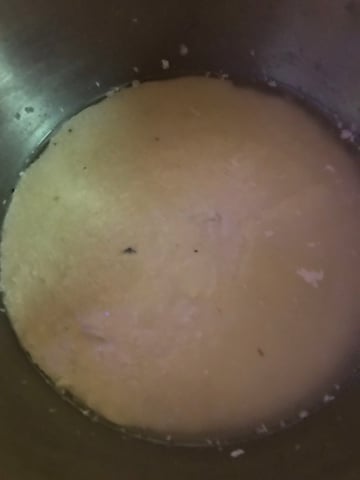 autos — germination, day 86